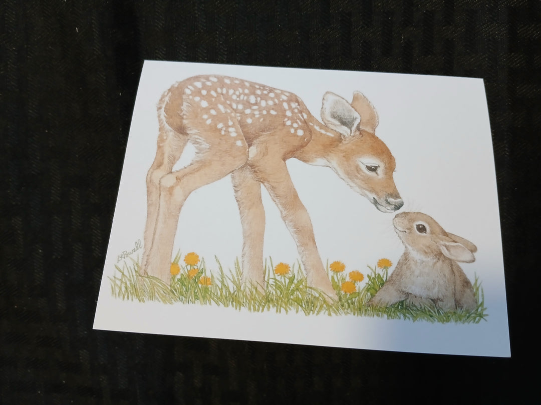 Critters  greeting cards