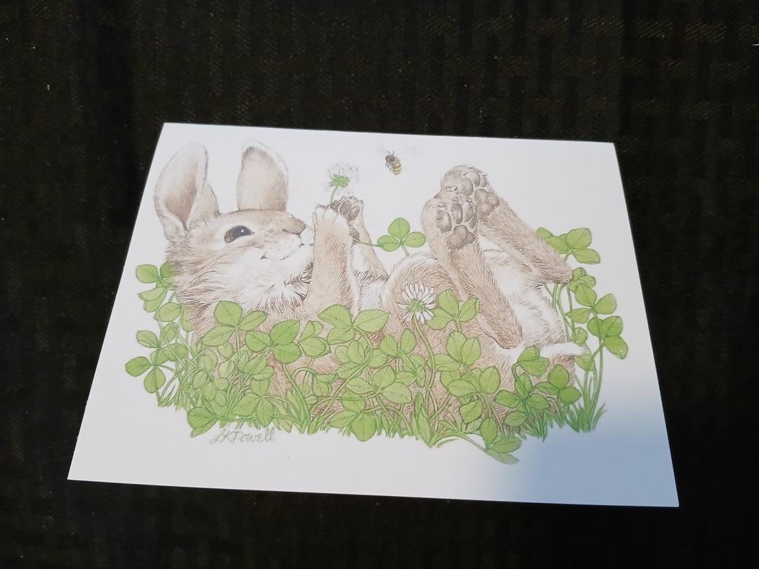 Critters  greeting cards