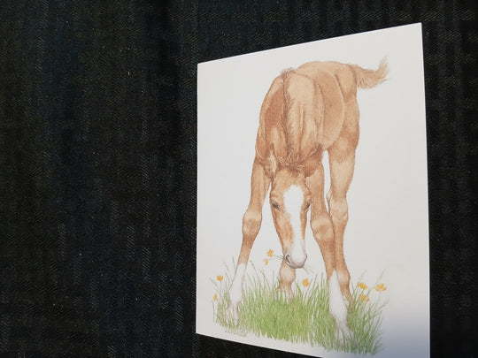 Critters  greeting cards