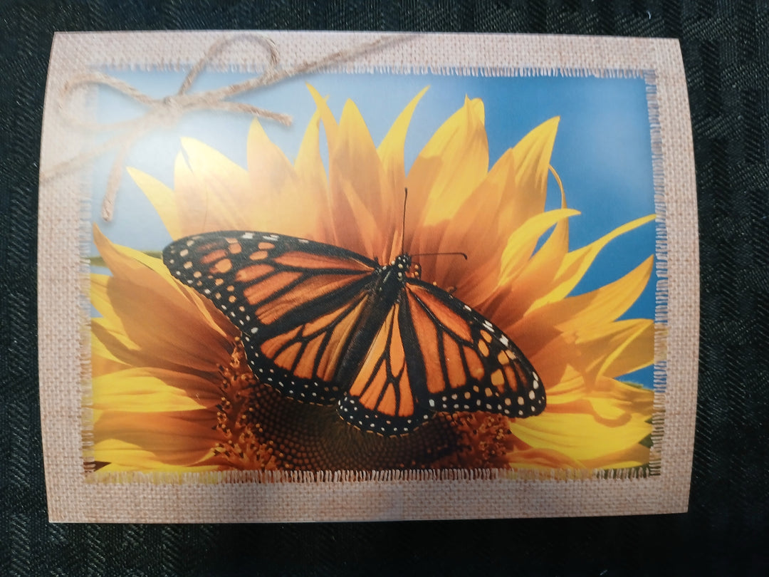 Autumn, Thanksgiving, Halloween greeting cards