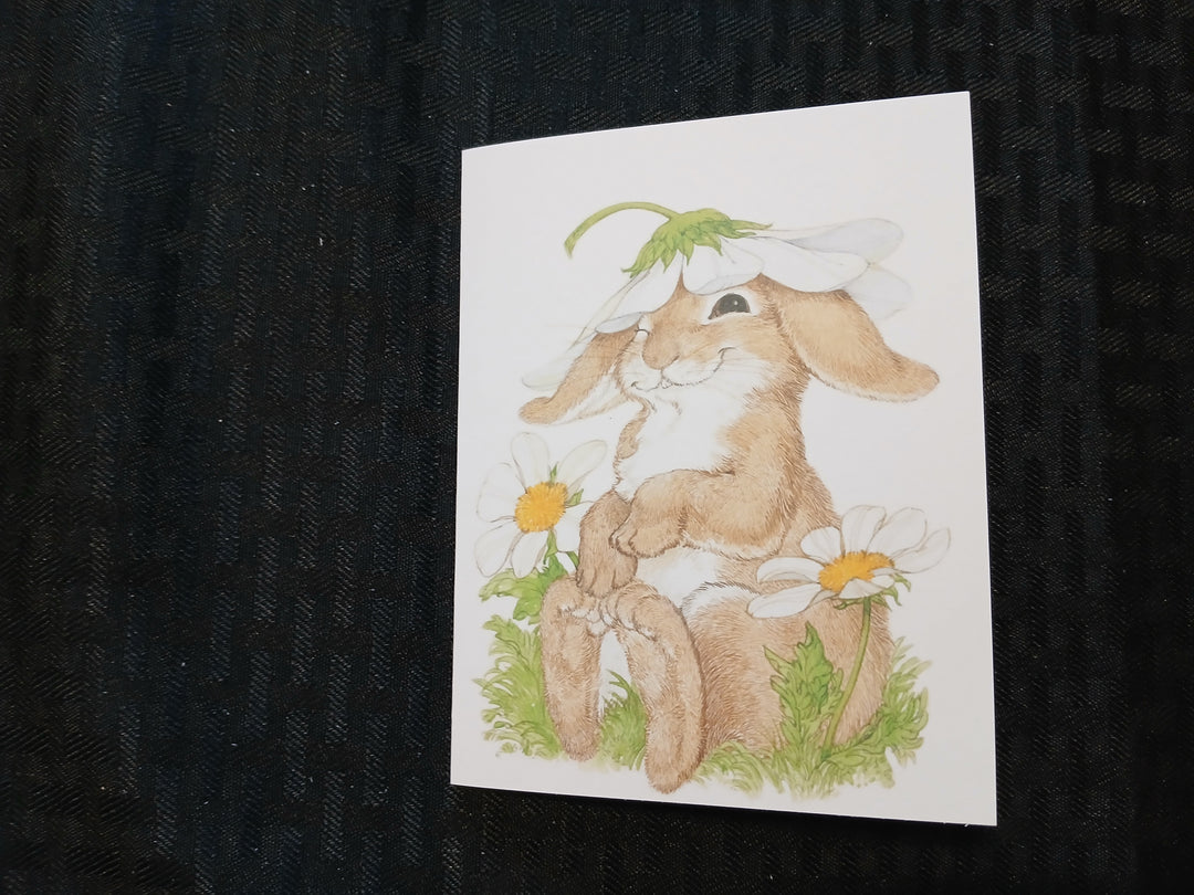 Critters  greeting cards