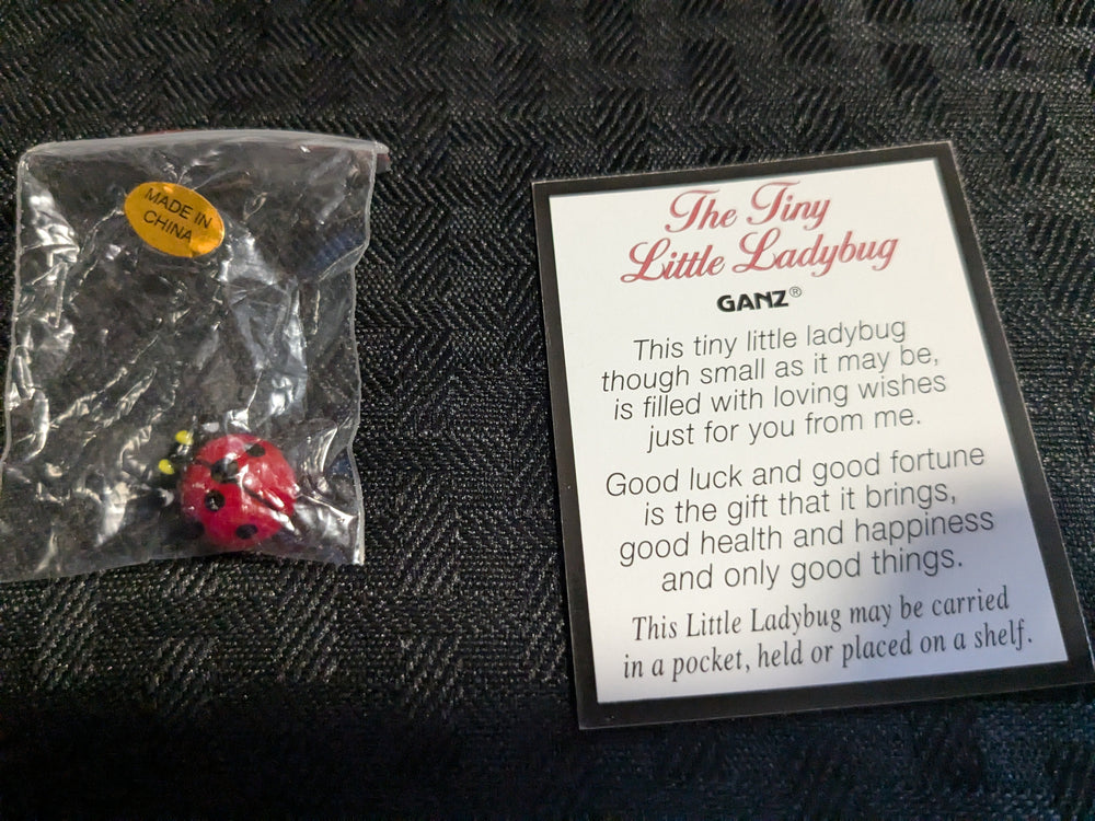 ladybug charm