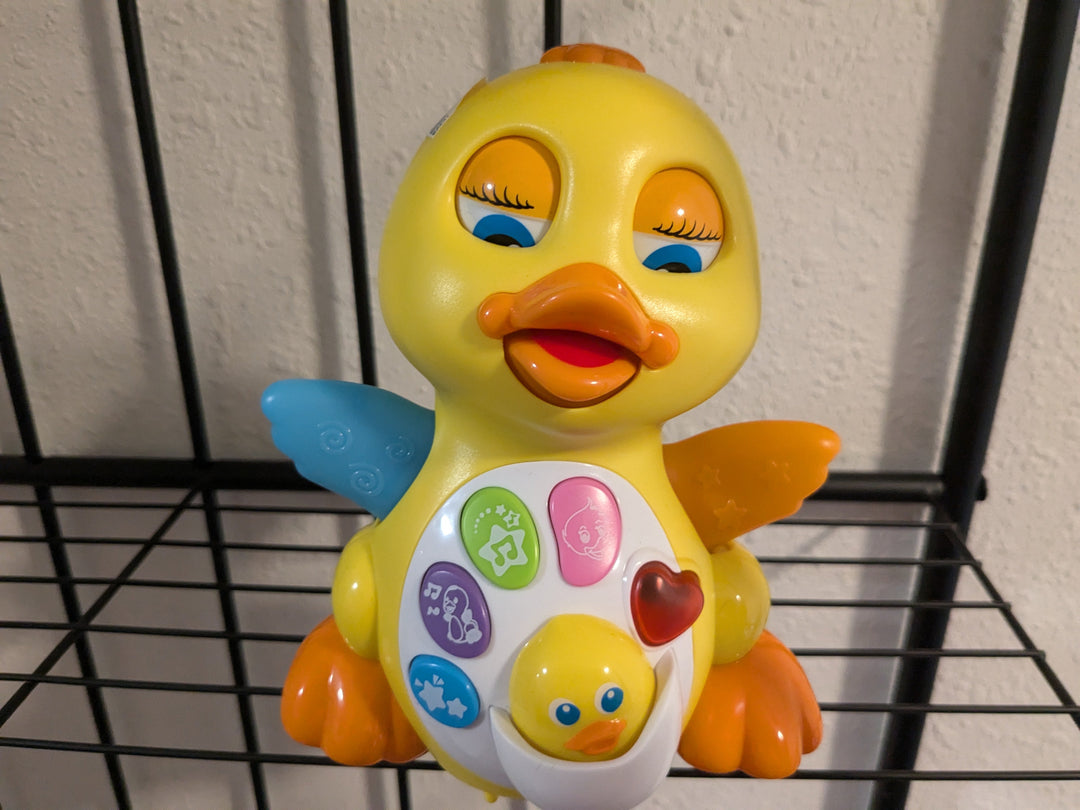 Little Musical Moving Duckie